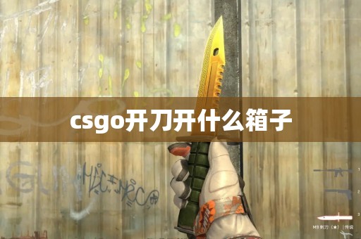 csgo开刀开什么箱子