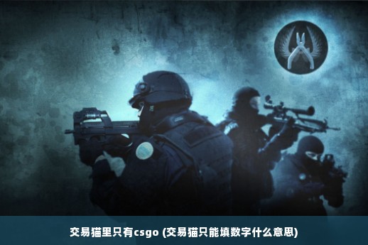 交易猫里只有csgo (交易猫只能填数字什么意思)