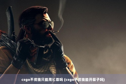 csgo不花钱只能用匕首吗 (csgo不花钱能开箱子吗)