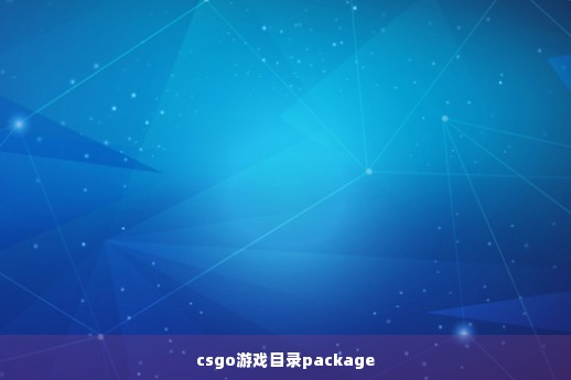 csgo游戏目录package