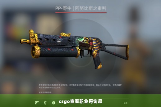 csgo查看职业哥饰品