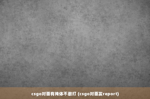 csgo对面有掩体不敢打 (csgo对面发report)