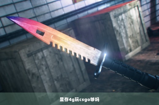 显存4g玩csgo够吗