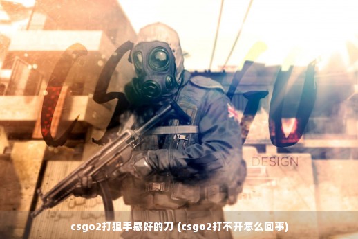 csgo2打狙手感好的刀 (csgo2打不开怎么回事)