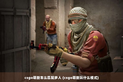 csgo萌新怎么匹配多人 (csgo萌新玩什么模式)