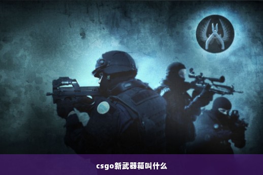 csgo新武器箱叫什么