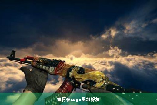 如何在csgo里加好友