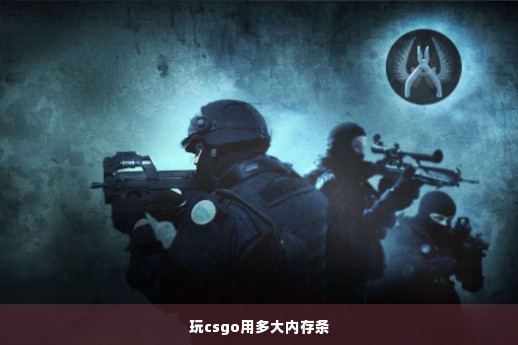 玩csgo用多大内存条