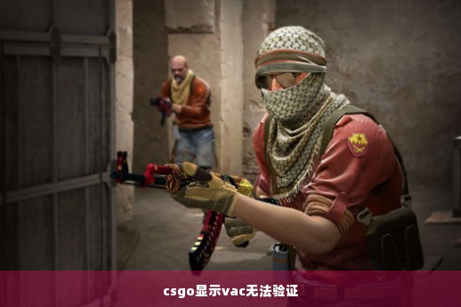 csgo显示vac无法验证