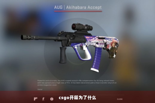 csgo开箱为了什么