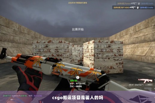 csgo搬运项目是骗人的吗