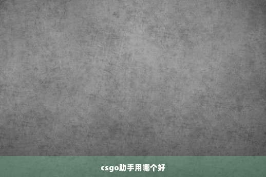 csgo助手用哪个好