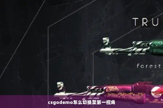 csgodemo怎么切换至第一视角