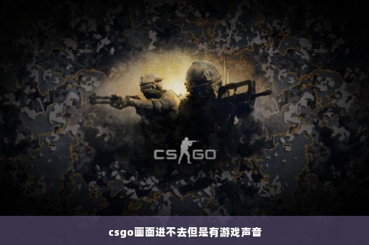 csgo画面进不去但是有游戏声音