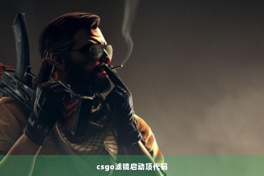 csgo滤镜启动项代码