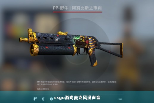 csgo游戏麦克风没声音