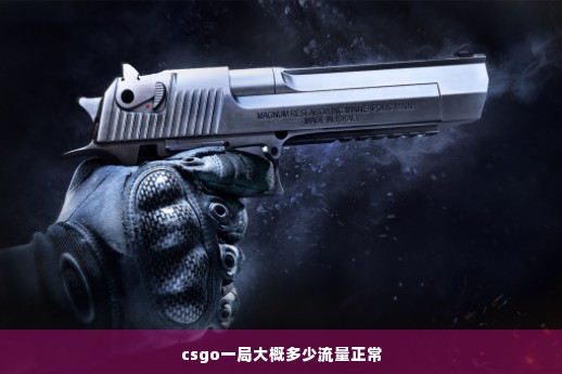 csgo一局大概多少流量正常