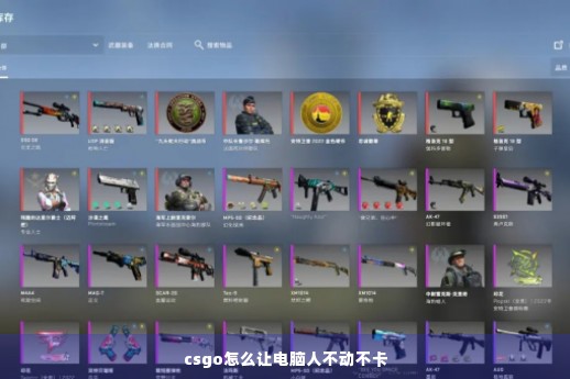 csgo怎么让电脑人不动不卡