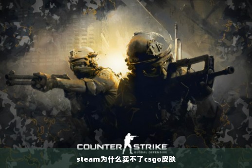 steam为什么买不了csgo皮肤