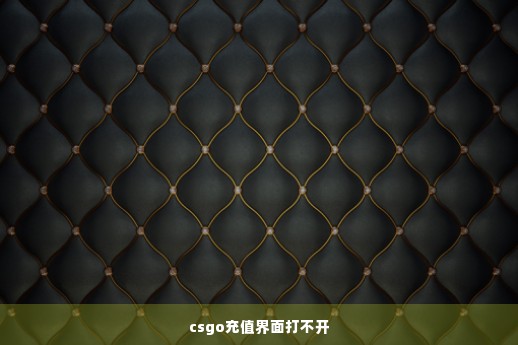 csgo充值界面打不开