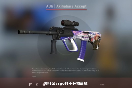 为什么csgo打不开物品栏