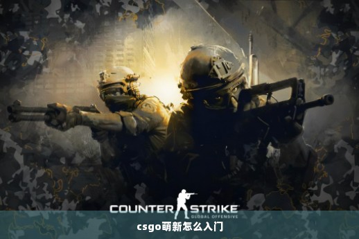 csgo萌新怎么入门