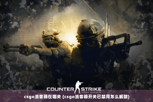 csgo消音器在哪关 (csgo消音器开关已禁用怎么解除)