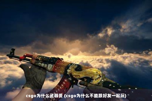 csgo为什么武器贵 (csgo为什么不能跟好友一起玩)