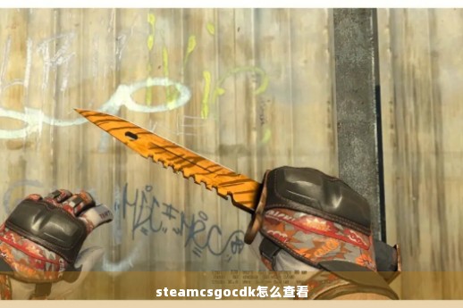 steamcsgocdk怎么查看