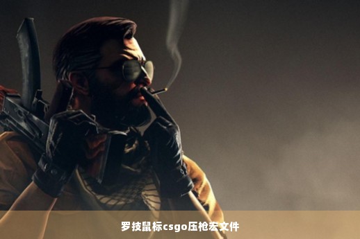 罗技鼠标csgo压枪宏文件