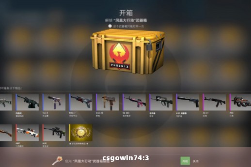 csgowin74:3