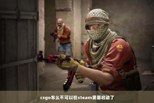 csgo怎么不可以在steam里面启动了