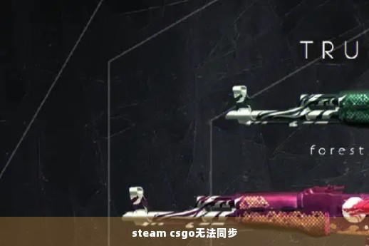 steam csgo无法同步