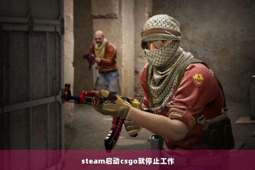 steam启动csgo就停止工作