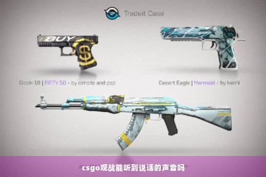 csgo观战能听到说话的声音吗