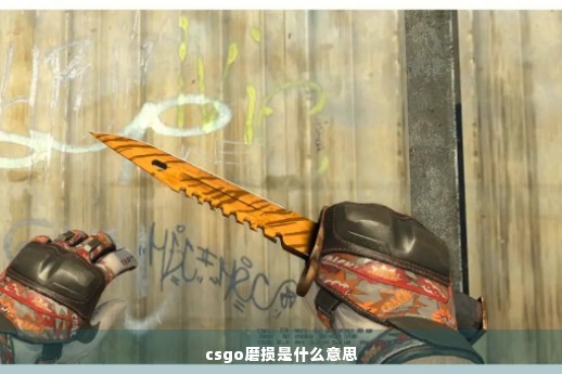 csgo磨损是什么意思