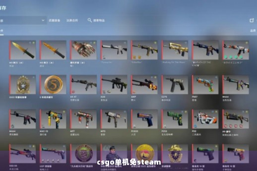 csgo单机免steam