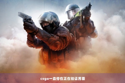 csgo一直停在正在验证界面