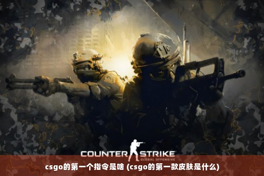 csgo的第一个指令是啥 (csgo的第一款皮肤是什么)