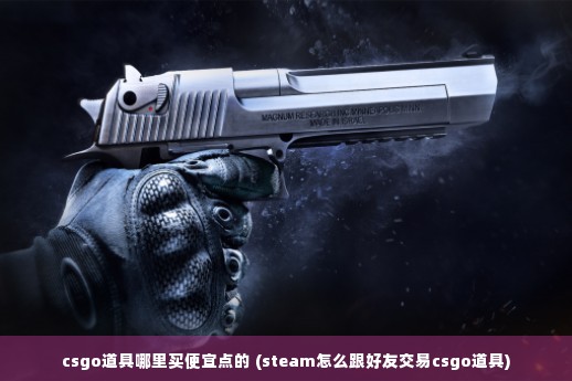 csgo道具哪里买便宜点的 (steam怎么跟好友交易csgo道具)