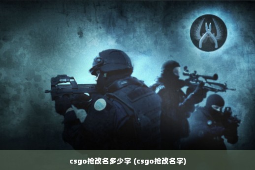 csgo抢改名多少字 (csgo抢改名字)