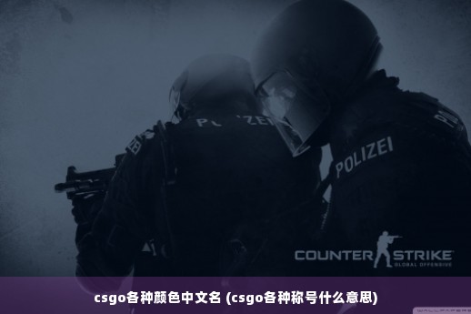 csgo各种颜色中文名 (csgo各种称号什么意思)