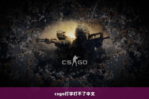 csgo打字打不了中文