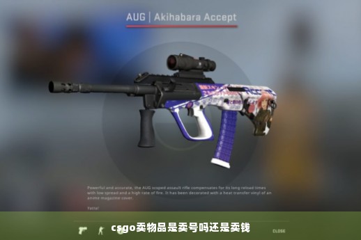 csgo卖物品是卖号吗还是卖钱