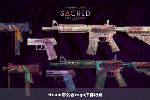 steam怎么看csgo库存记录