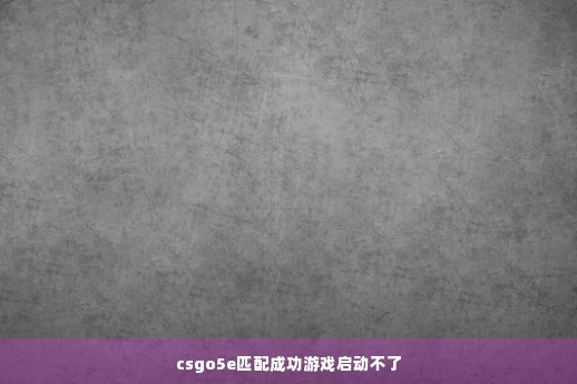 csgo5e匹配成功游戏启动不了