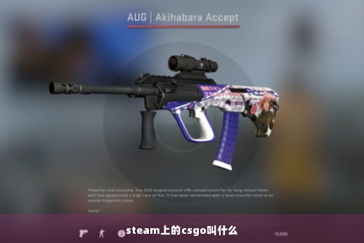 steam上的csgo叫什么