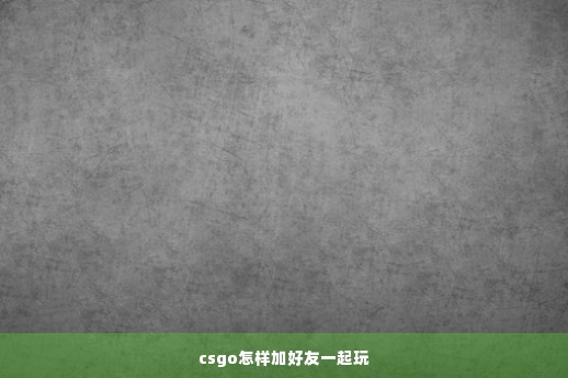 csgo怎样加好友一起玩