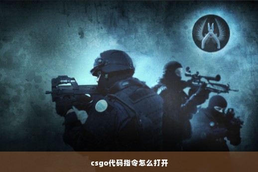 csgo代码指令怎么打开