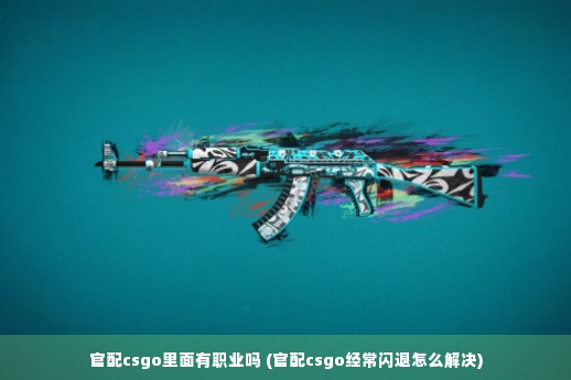 官配csgo里面有职业吗 (官配csgo经常闪退怎么解决)